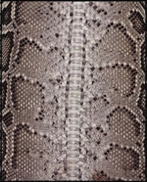 Edelman Leder - dieses Leder von Edelman erhältlich bei Decoris Interior Design Zürich Innenarchitektur und Inneneinrichtung am Zürichberg